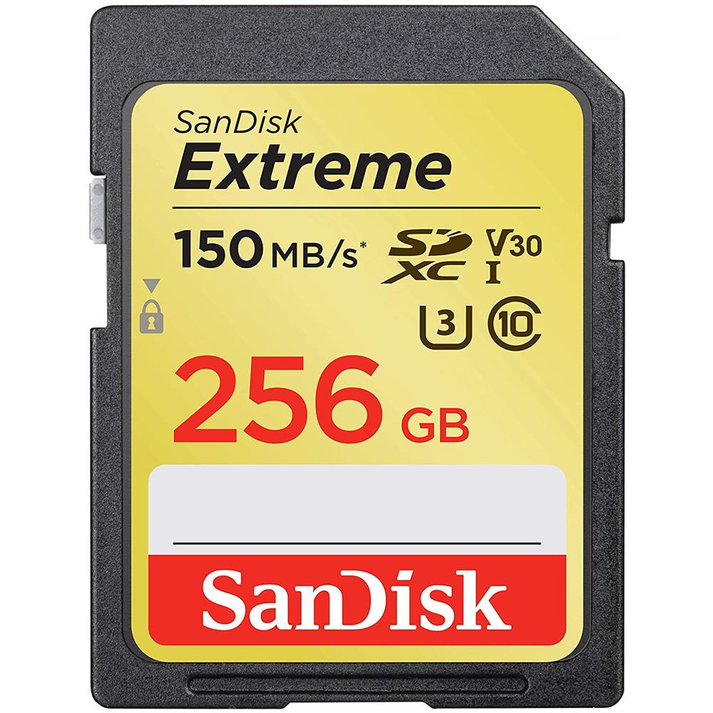 Scheda di Memoria SDXC Extreme 256 GB UHS-I di Classe 10 Velocità 170 MB / s - Foto 1