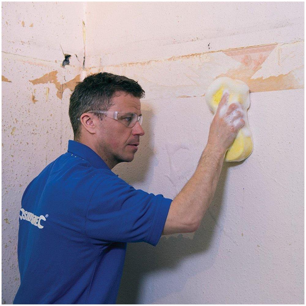 250255 Spugna Di Pulizia 220 X 110 X 50 Mm - Foto 2