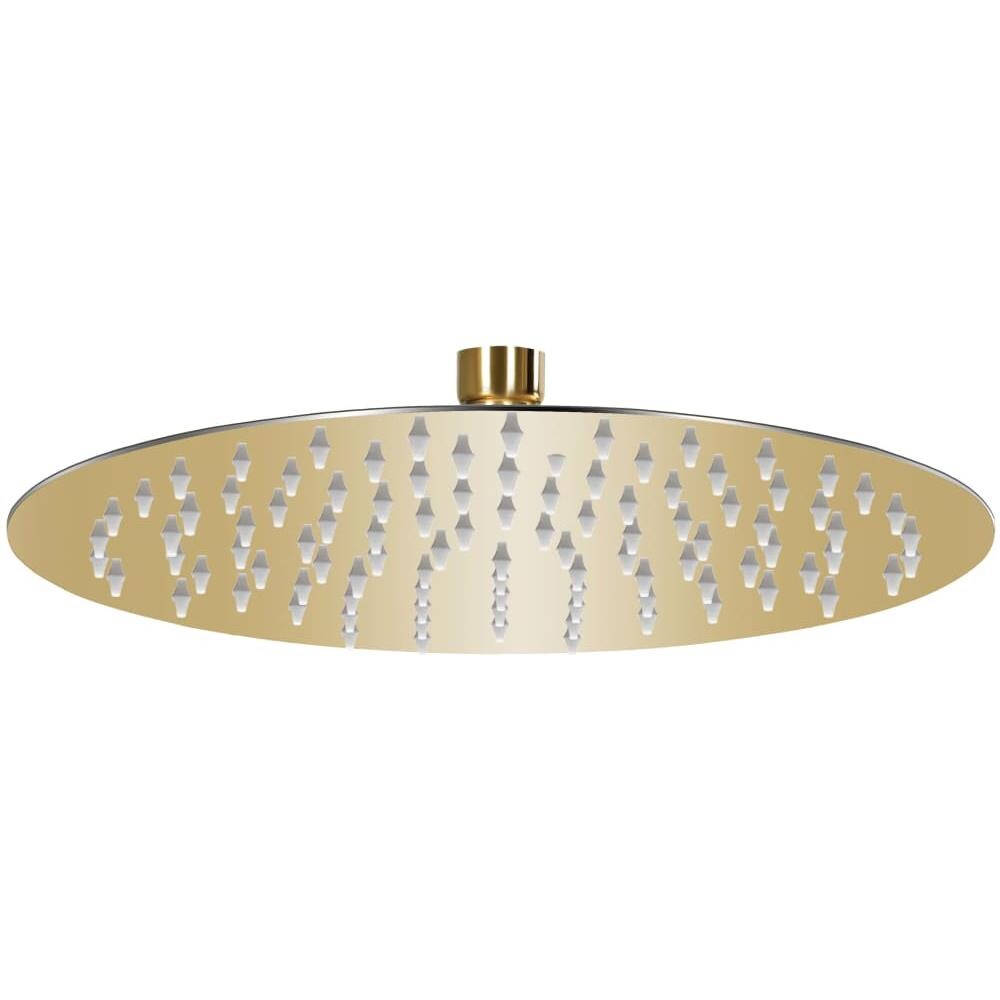 Testa Doccia a Pioggia in Acciaio Inox 25 cm Rotonda Oro - Foto 1