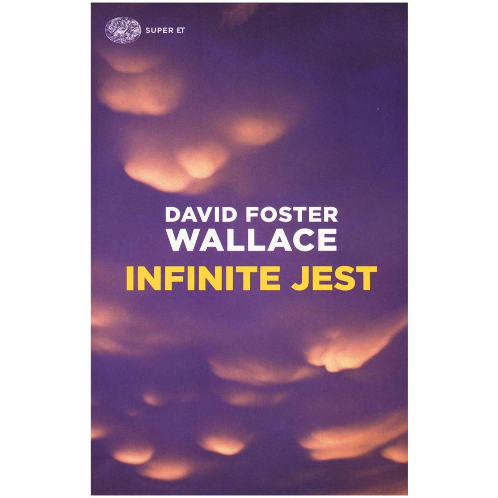 David Foster Wallace - Infinite jest - Foto 1