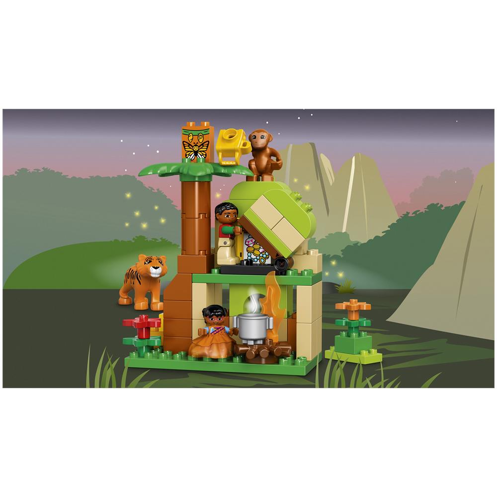 10804 Giungla - Foto 7