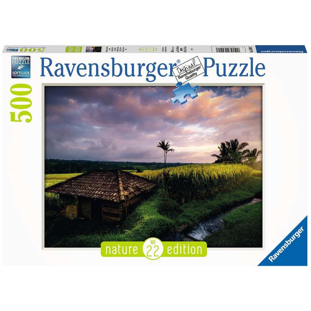 Risaie bali - 500pz - Foto 1