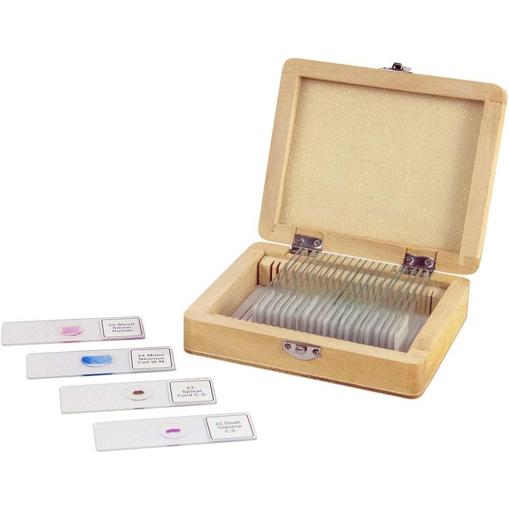 25 Piece Prepared Microscope Slide Kit - Foto 2
