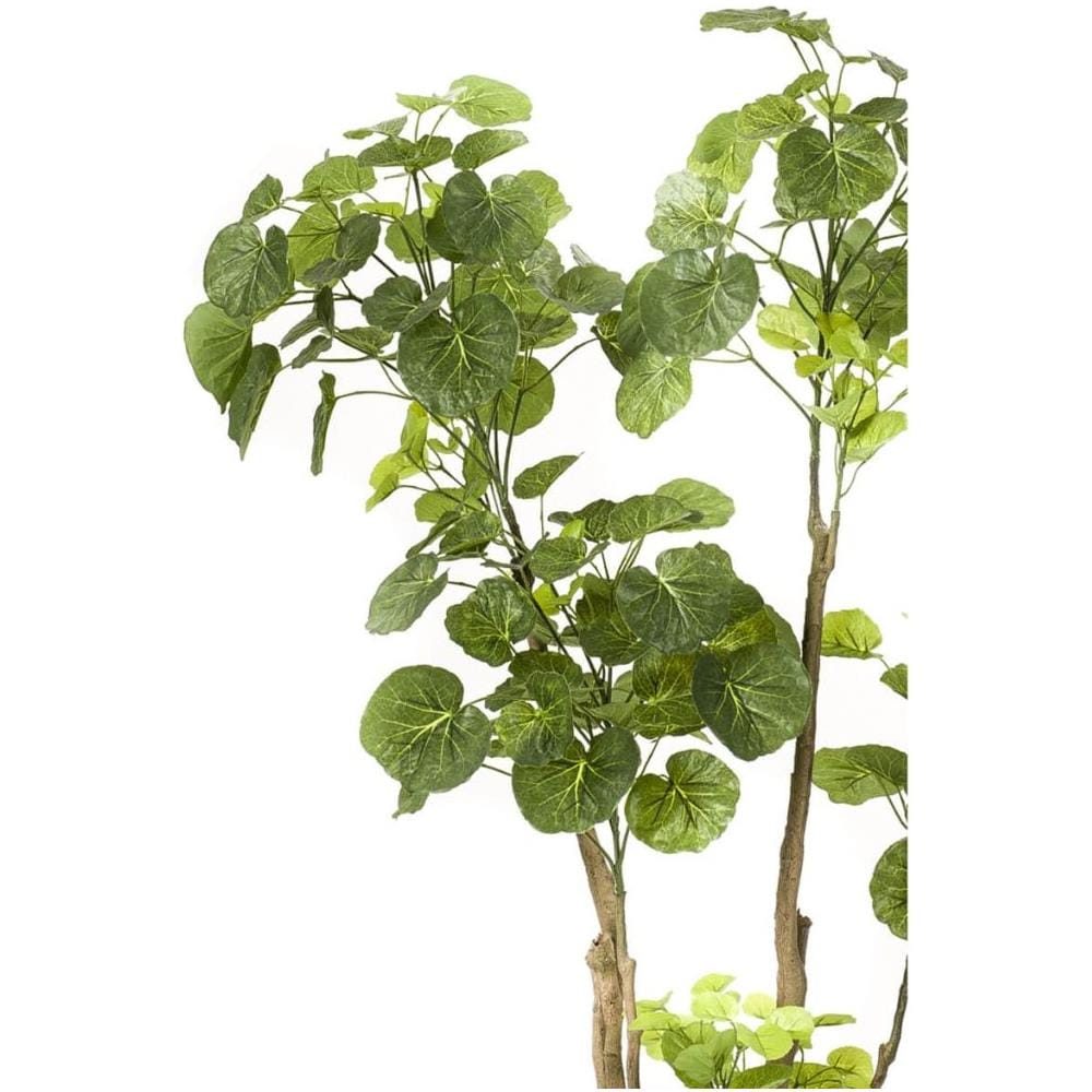 Albero Di Polyscias Artificiale Verde 135 Cm 420292 - Foto 2