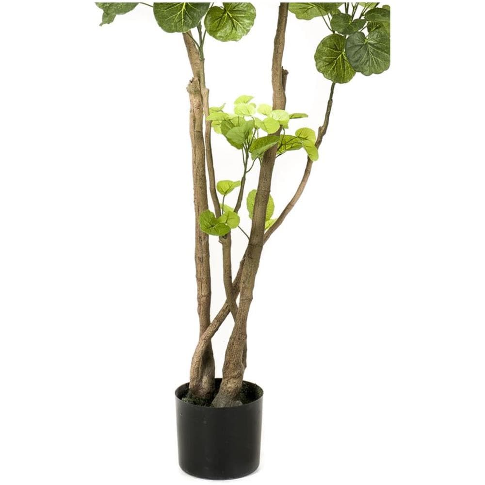 Albero Di Polyscias Artificiale Verde 135 Cm 420292 - Foto 3