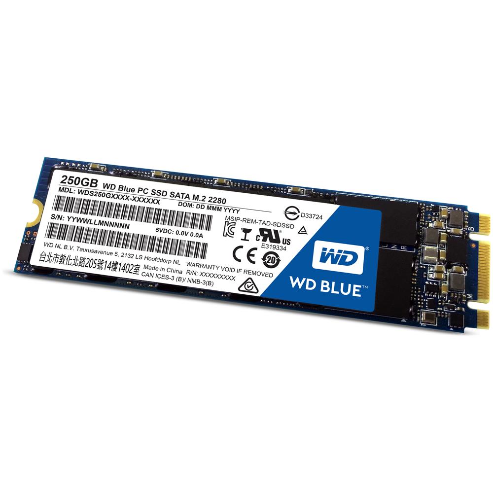 SSD 250 GB WD Blue M. 2 Interfaccia Sata III 6 Gb / s - Foto 1