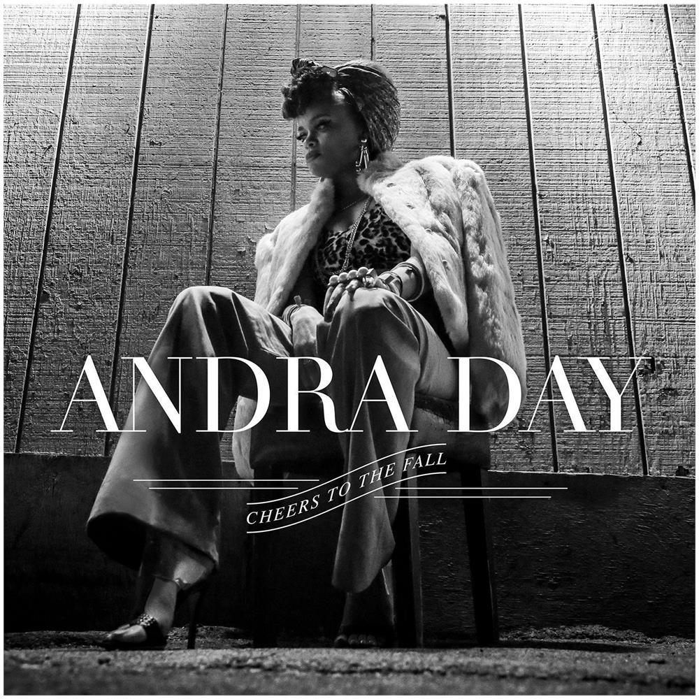 Day Andra - Cheers To The Fall (2 Lp)  - Foto 1