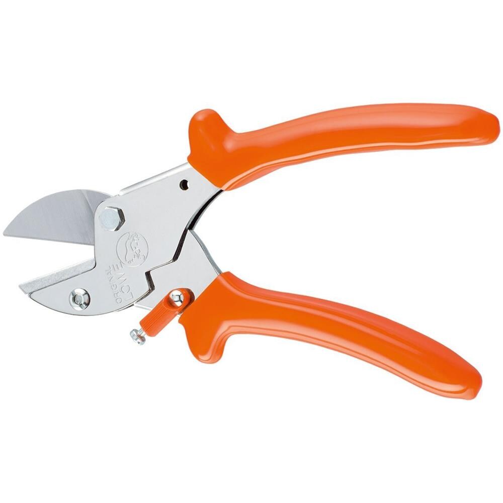 Löwe 5 - Imp. Curvata - Foto 1