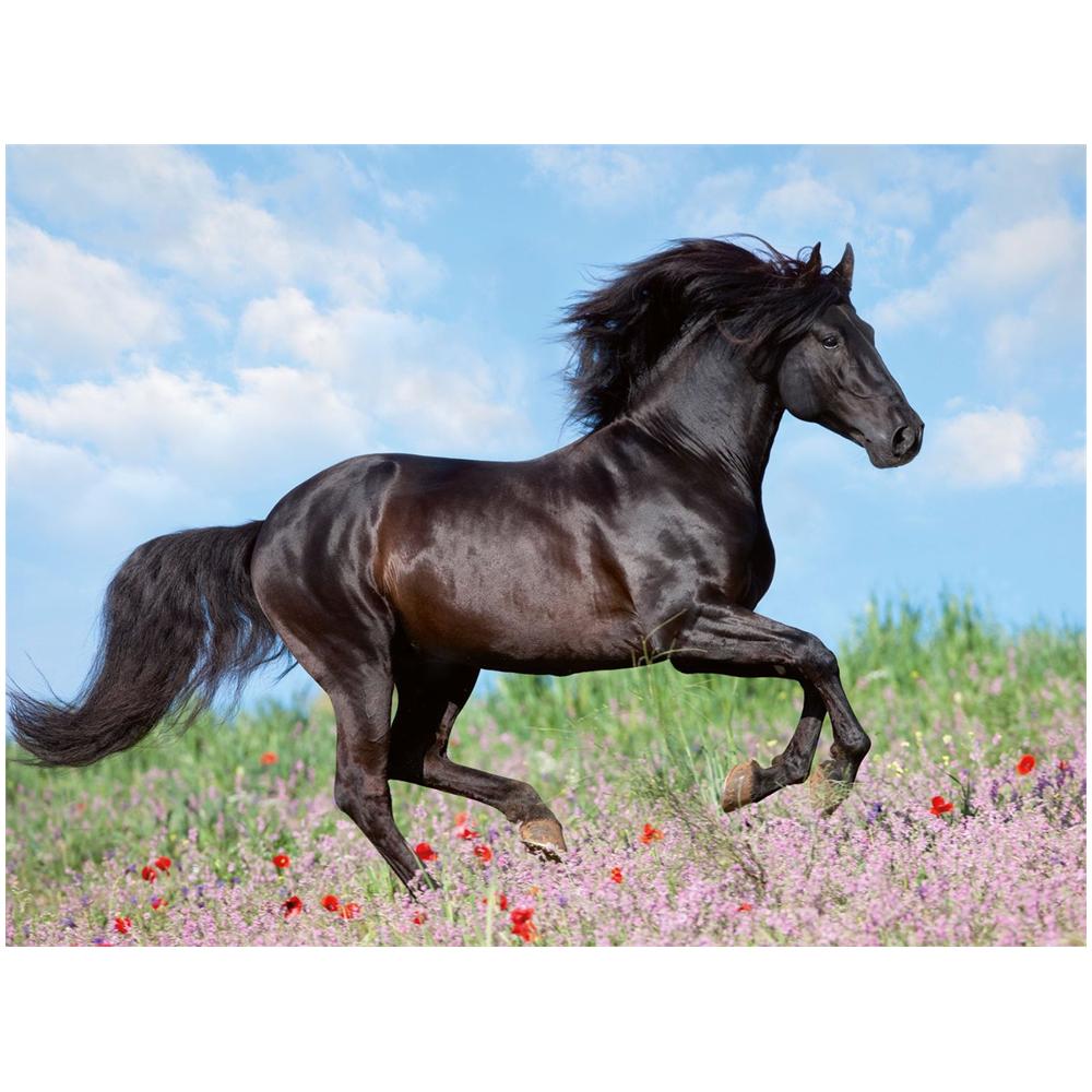 Puzzle Black Stallion 200 pz 49 x 36 cm 12803 - Foto 2