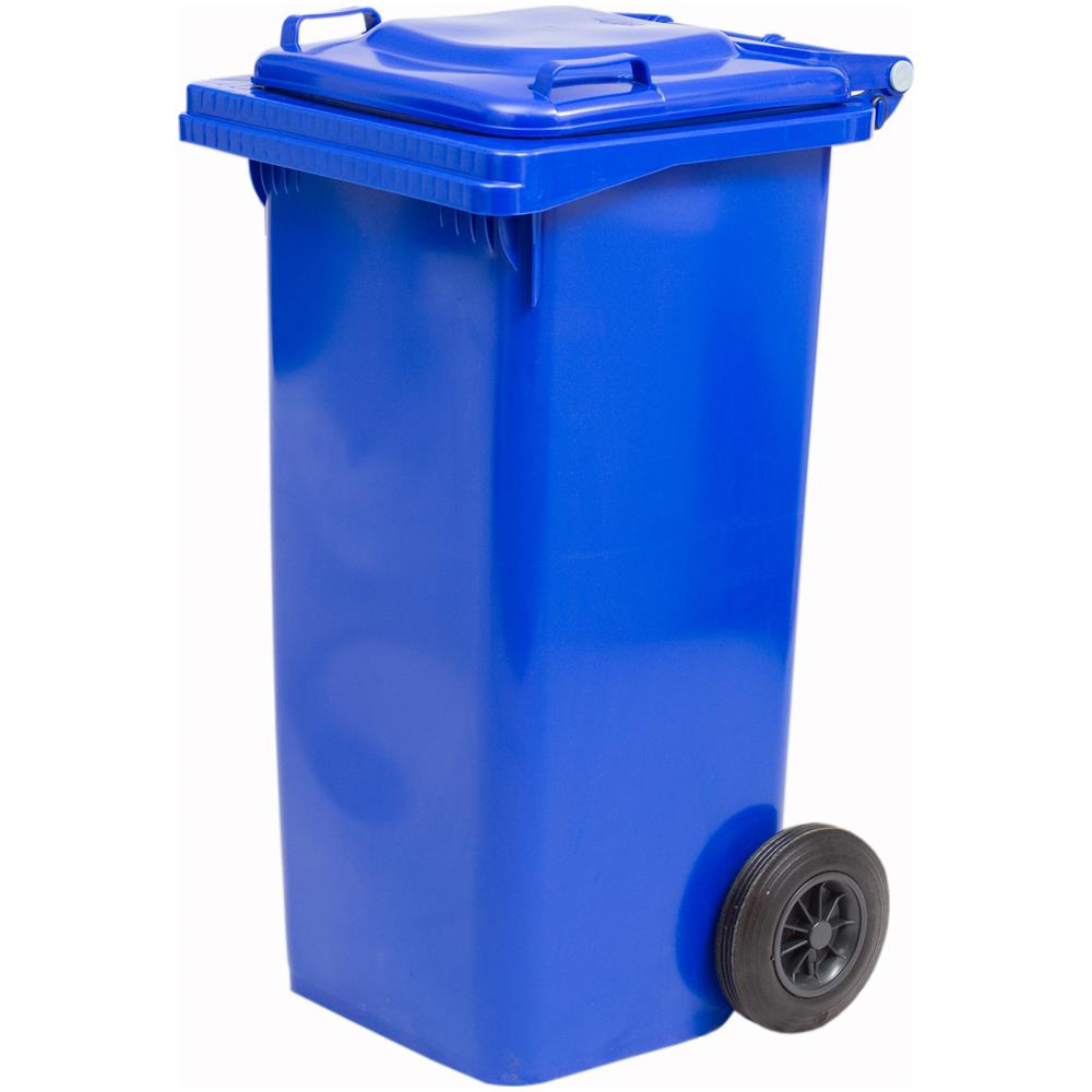 Pattumiera Lt. 120 Con Ruote Blu - Foto 3