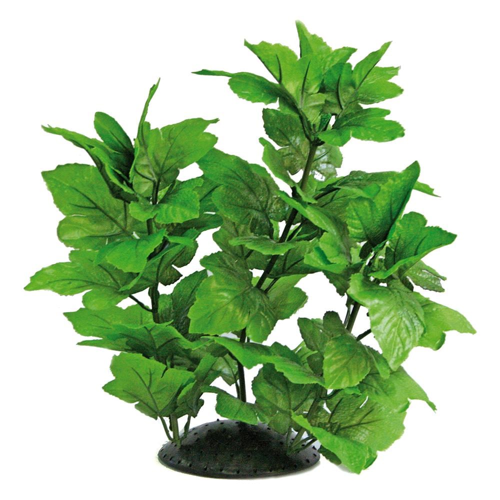 Decorativo Acquario Pianta Hygrophila 30cm - Foto 1