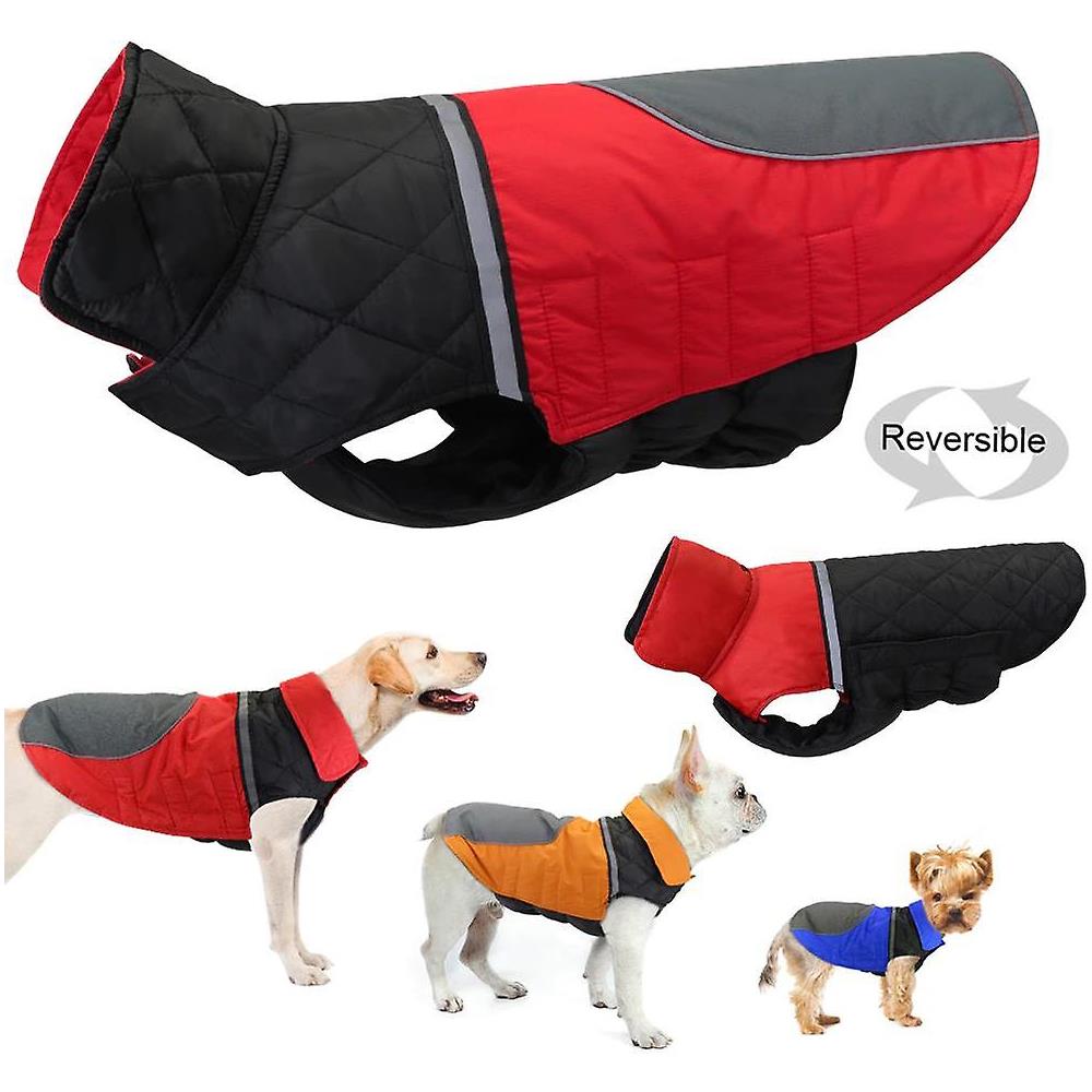 Cane Spiaggia Picchetto Ancoraggio Per Cani Fino 100kg - Antiruggine Per Giardino Paletto A Spirale