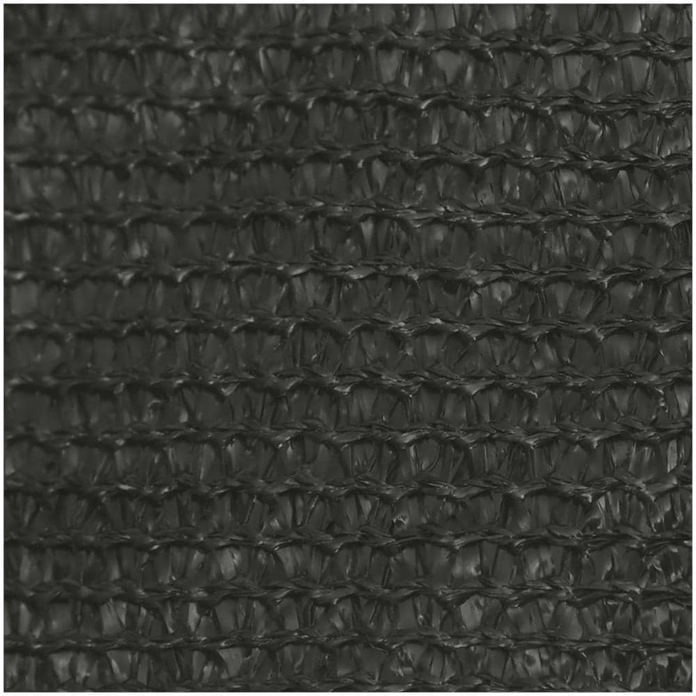 Vela Parasole 160 g / m² Antracite 3x4 m in HDPE - Foto 2