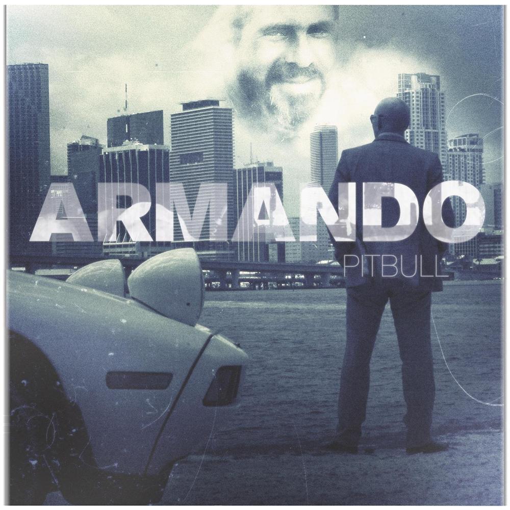 Pitbull - Armando - Foto 1