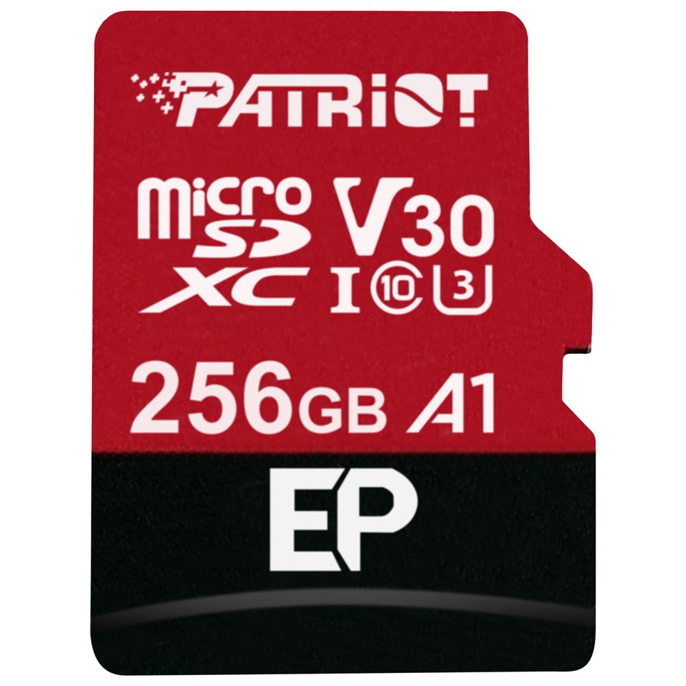 PEF256GEP31MCX memoria flash 256 GB MicroSDXC Classe 10 - Foto 1