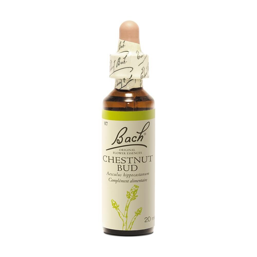 N°07 Chestnut Bud 20ml - Foto 1