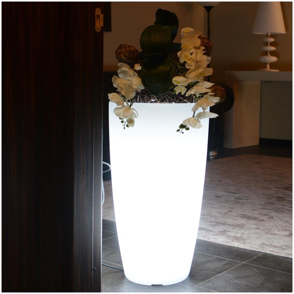 Vaso Agave Tondo Con Luce Bianca H90 Ø 40Cm - Foto 1