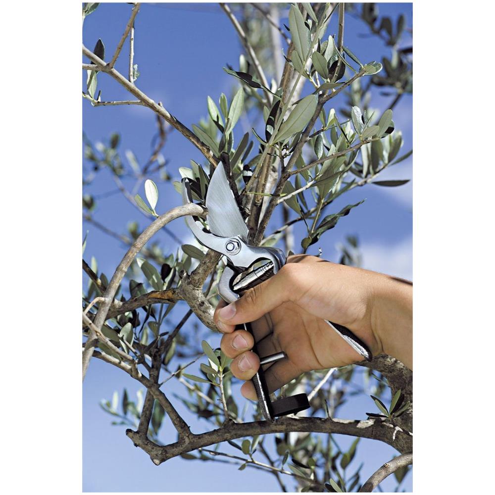 Forbice Da Pota 19 - Foto 2