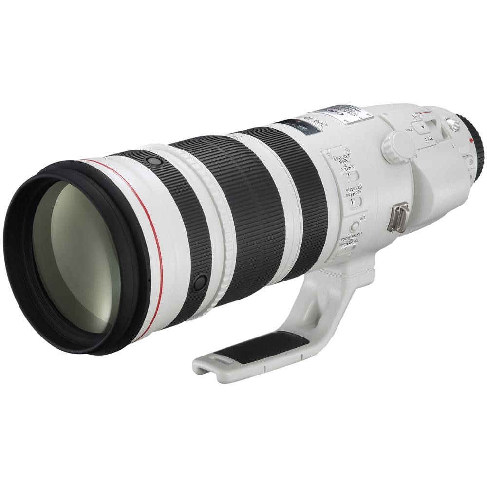 EF 200-400mm f / 4L IS USM Extender 1.4x, SLR, 33/24, Telephoto, Ring USM, Bianco, 12,8 cm - Foto 1