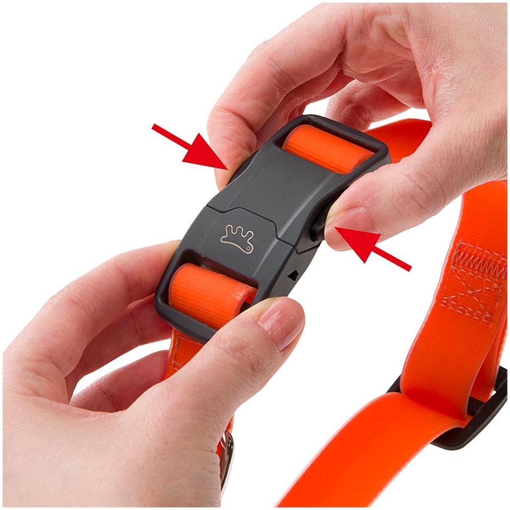 Collare Per Cani Evolution C16/32 Con Fibbia Magnetica, Ipoallergenico, Lavabile, Tortora - Foto 8