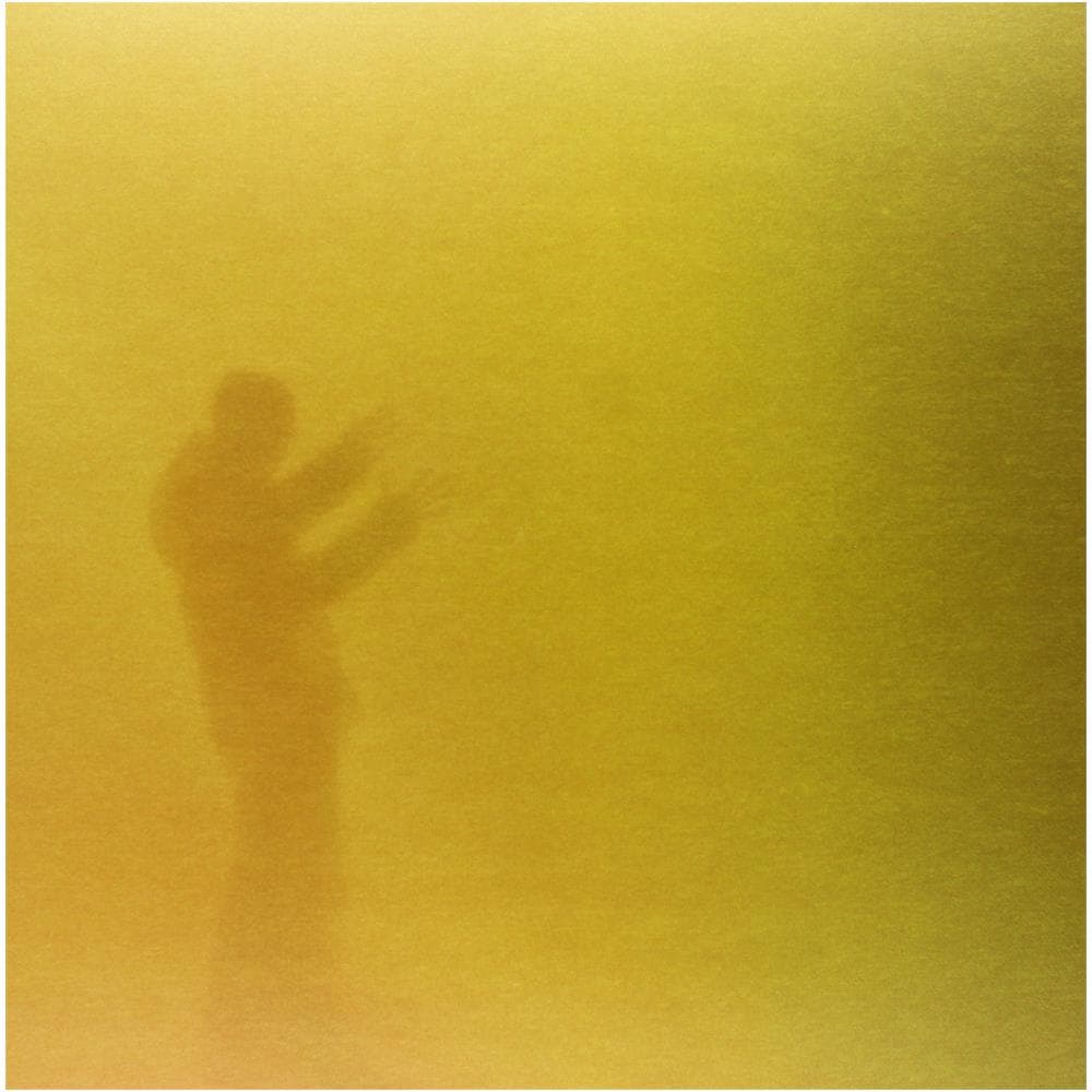 Nils Frahm - Juno Reworked - Foto 1