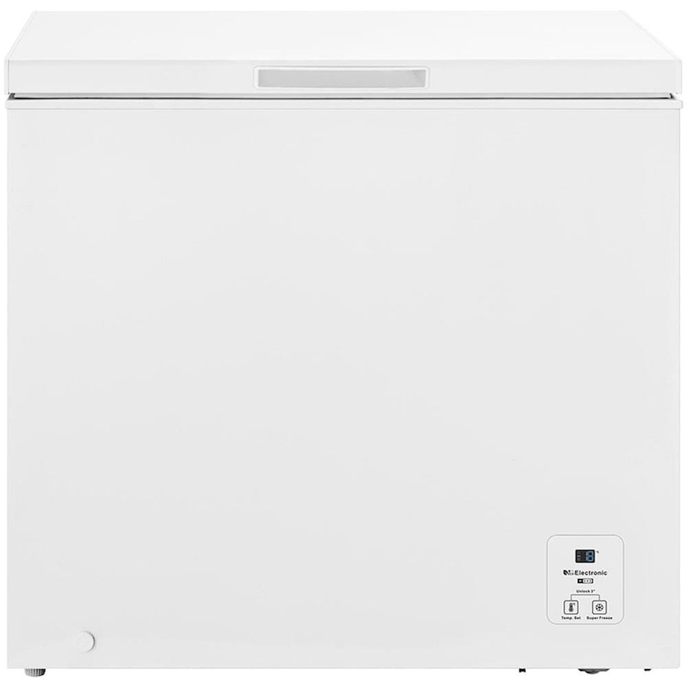 Congelatore Orizontale FC247D4AWLE Capacità Netta 197 l Classe E Colore Bianco - Foto 1