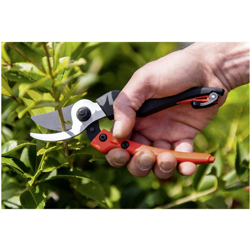 Forbice Giardino Bypass 19,5 - Foto 2