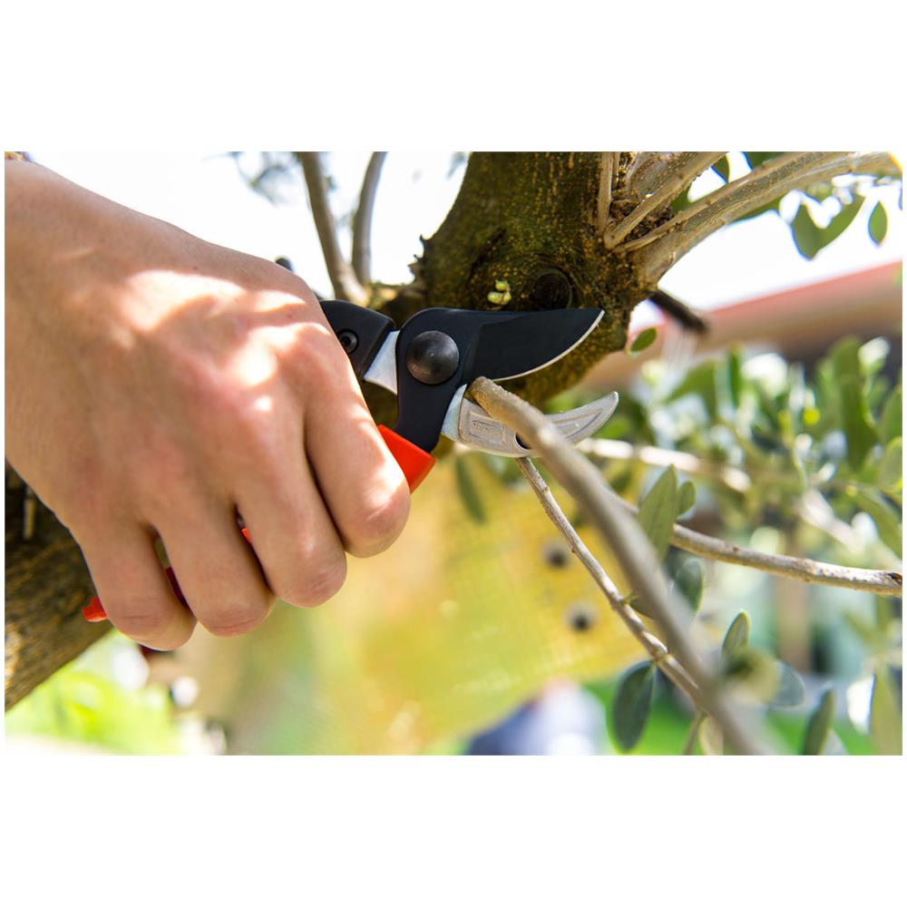 Forbice Giardino Amboss 20 - Foto 2