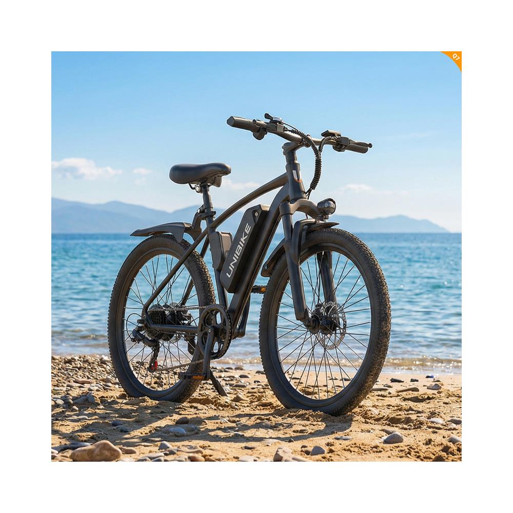 Bicicletta Elettrica 26 Pollici E-bike 250w Batteria Rimovibile 36v Autononomia 25-50km Lcd Q7 - Foto 8