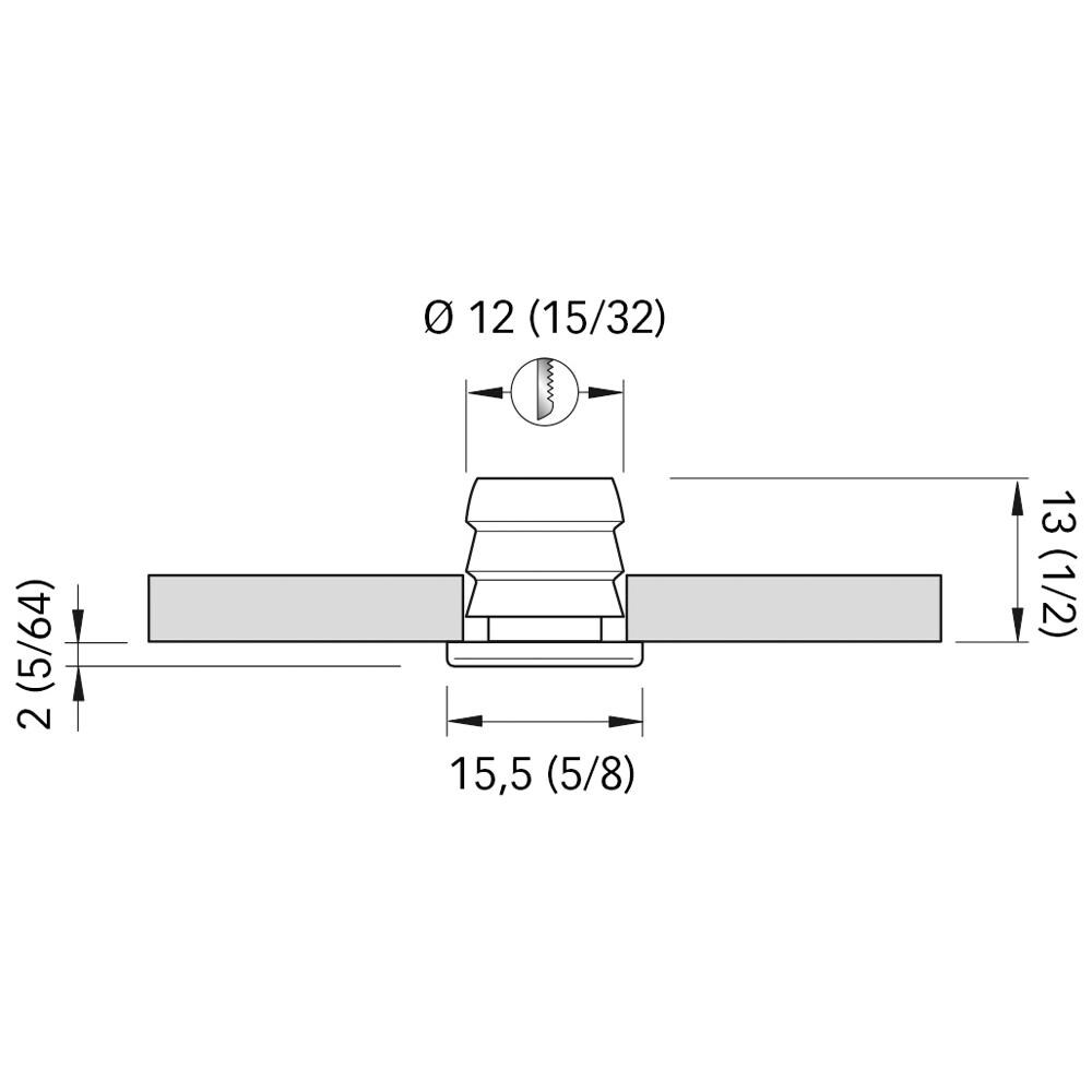 Luce Di Cortesia Tess - Foto 2