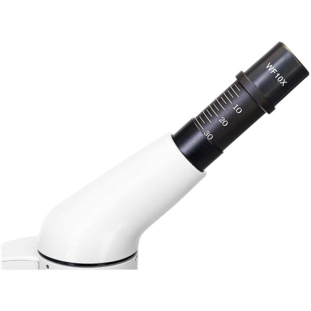 Microscopio Levenhuk Rainbow 50l - Foto 3