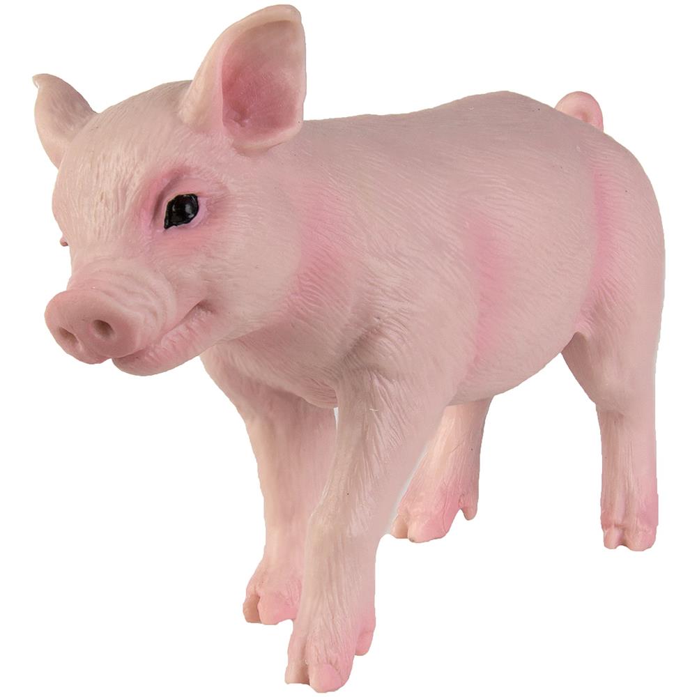 Safari Ltd Figurina Di Maialino - Modello Dettagliato In Plastica 475 - Divertente Giocattolo Educativo Per Ragazzi, Ragazze E Bambini Dai 18 Mesi In Su - Foto 7