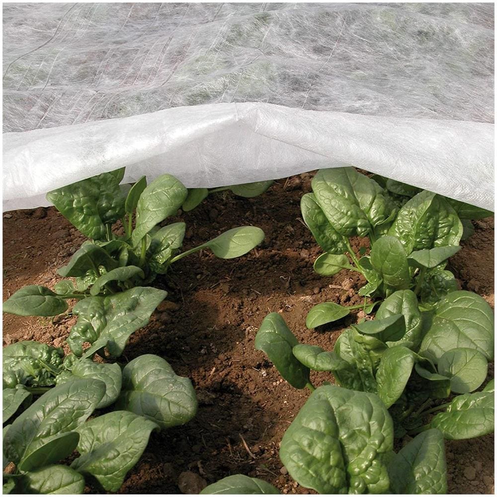 Ortoclima Plus Velo Protettivo Invernale Per Colture, Bianco, 1,60x10 Metri - Foto 1