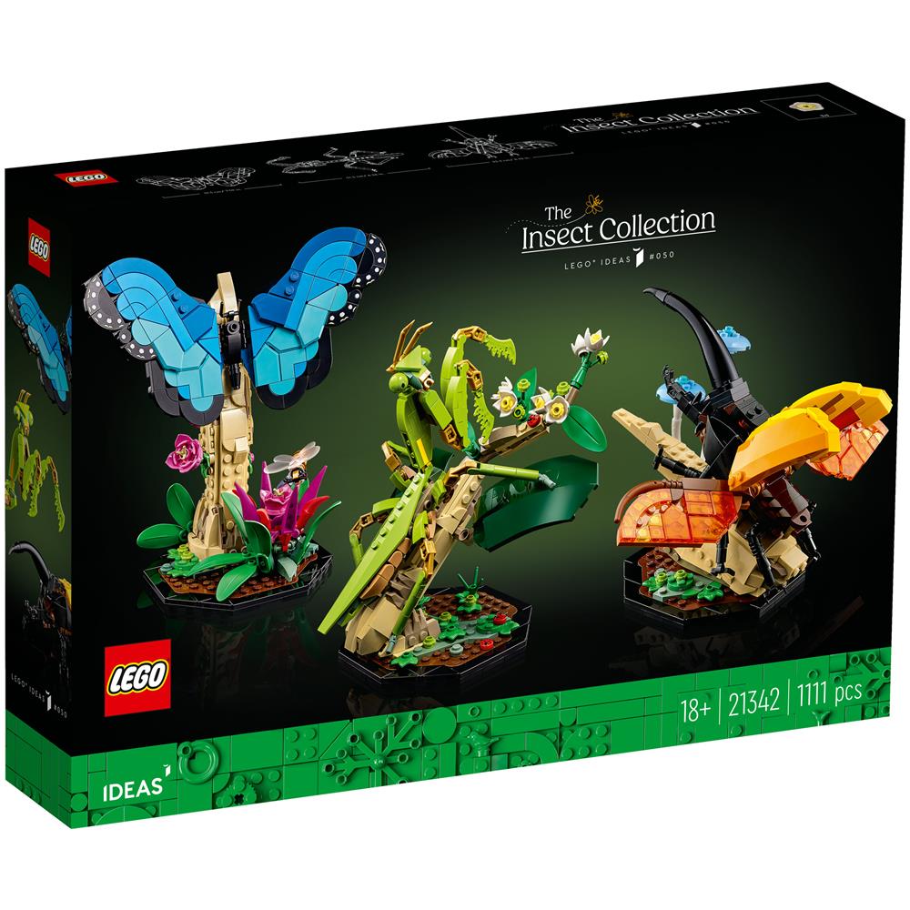 21342 Ideas Collezione di Insetti - Foto 1