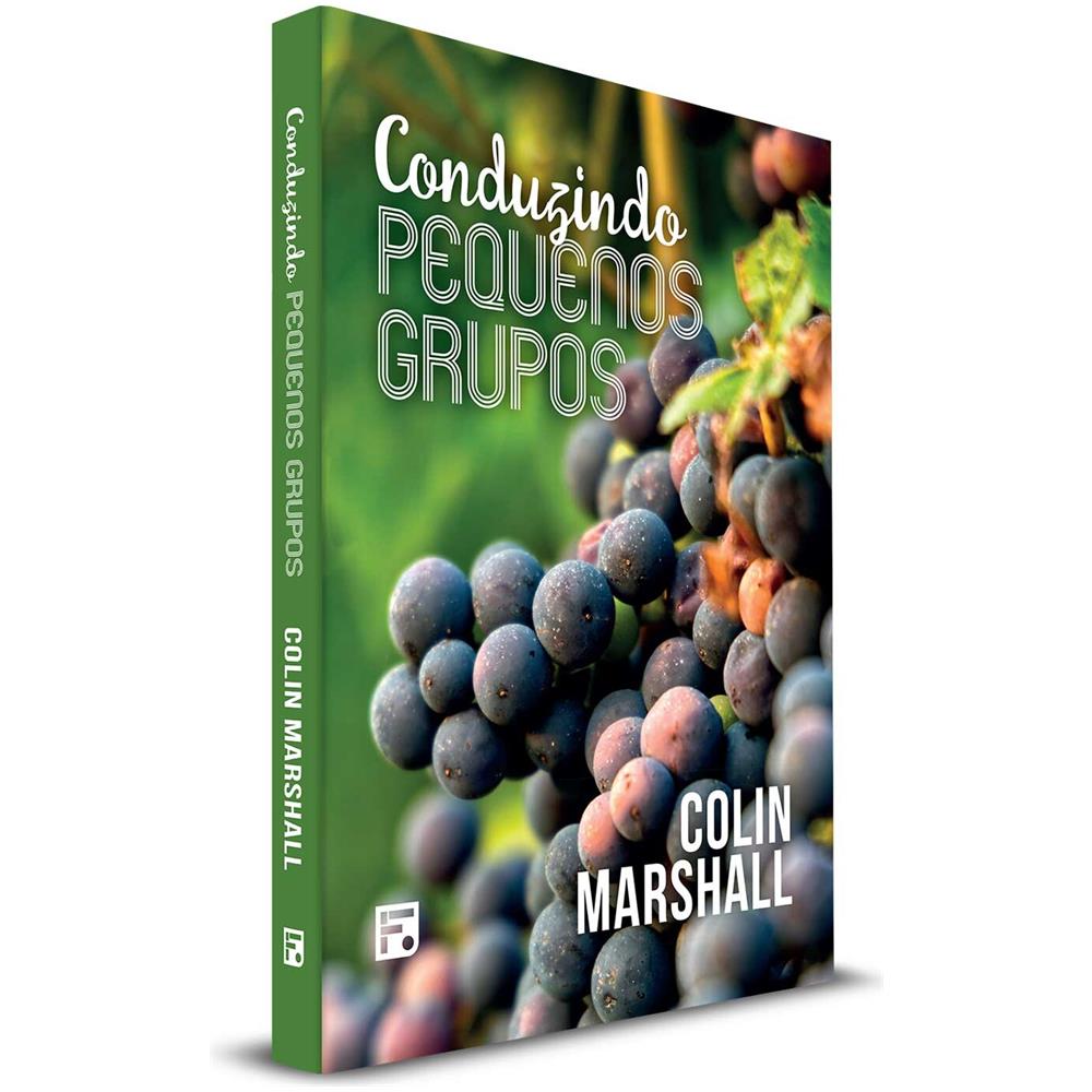 Conduzindo Pequenos Grupos - Colin Marshall - Foto 1