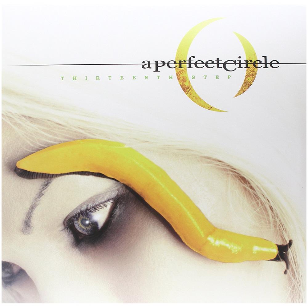 A Perfect Circle - Thirteenth Step - Foto 1