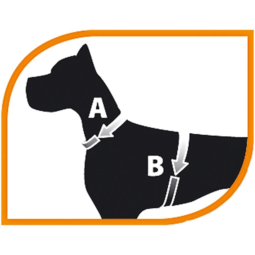 Pettorina Di Sicurezza Riflettente Per Cani Small - Foto 2