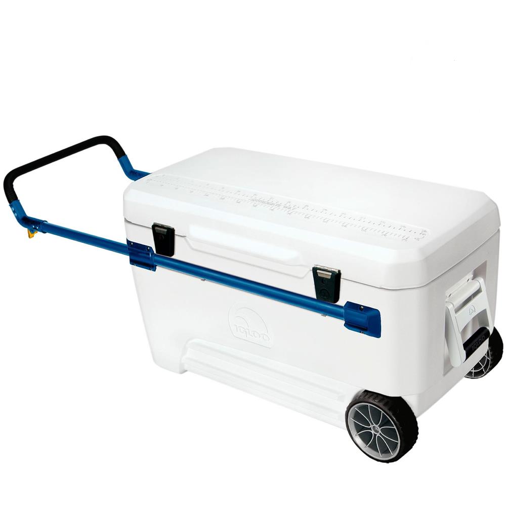 Ghiacciaia Ultra 110 - Foto 2