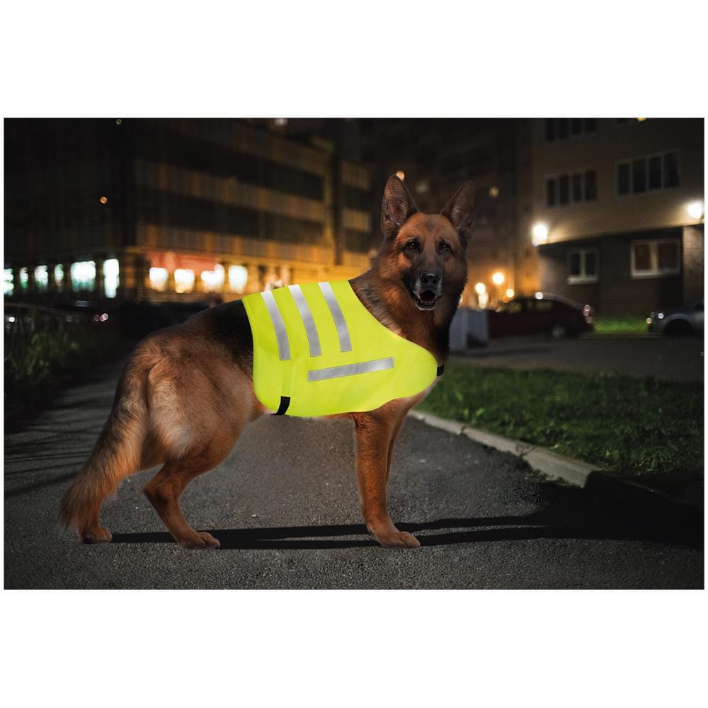 Dog Safety Vest, Veste Riflettente Ad Alta Visibilit - L - Foto 3