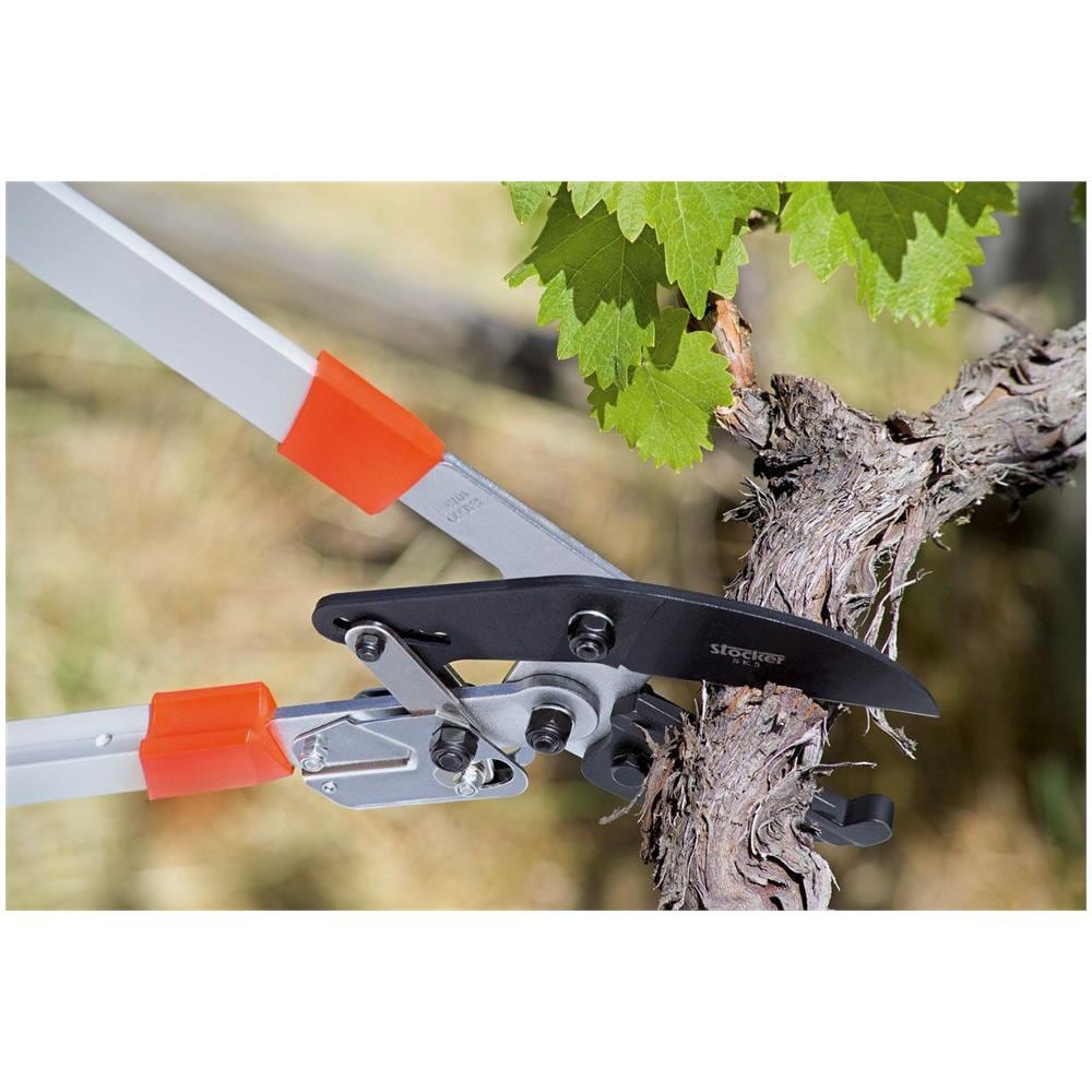 Troncarami Cricchetto Telescopico - Foto 2