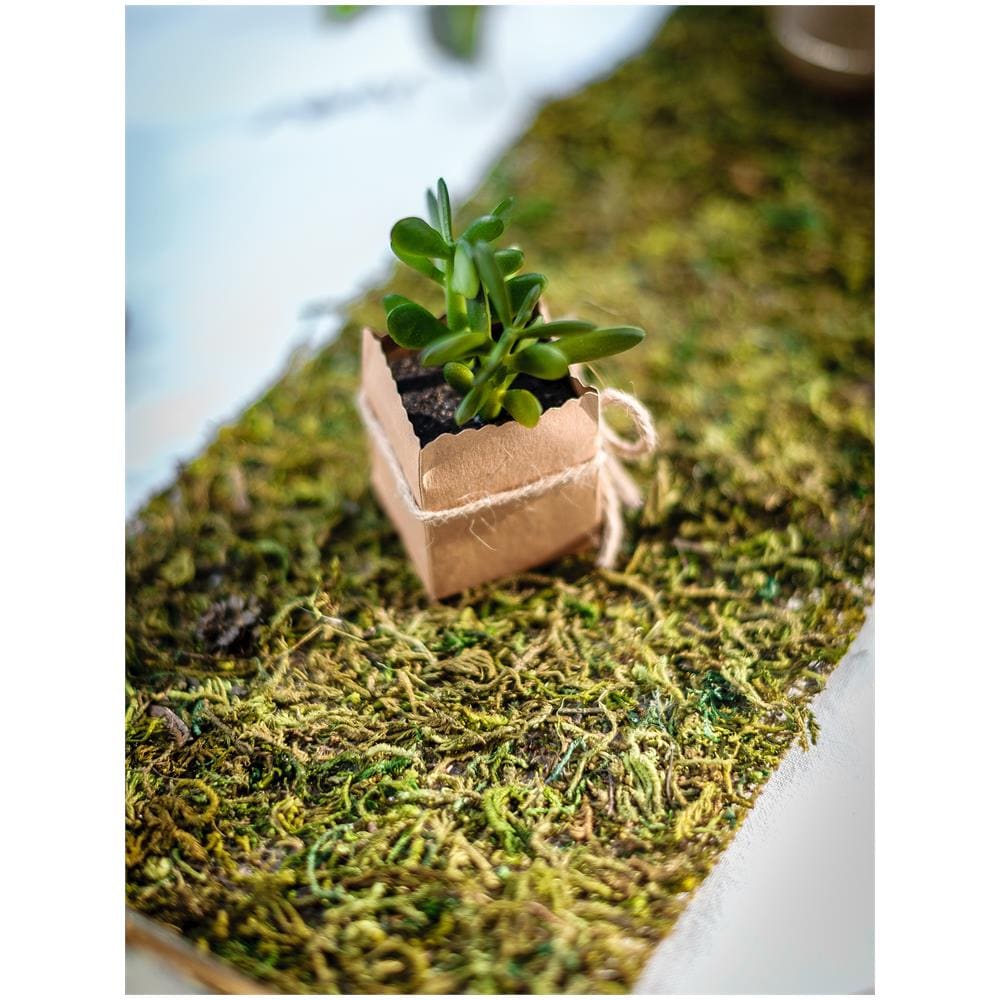 Artifetes - Runner Da Tavola Vegetale - Foto 3