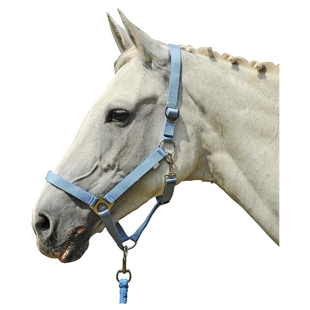 Cavezza HKM Stars Economy Per Cavalli - Design A Stelle Verde Chiaro | Misura 20cm - Foto 5