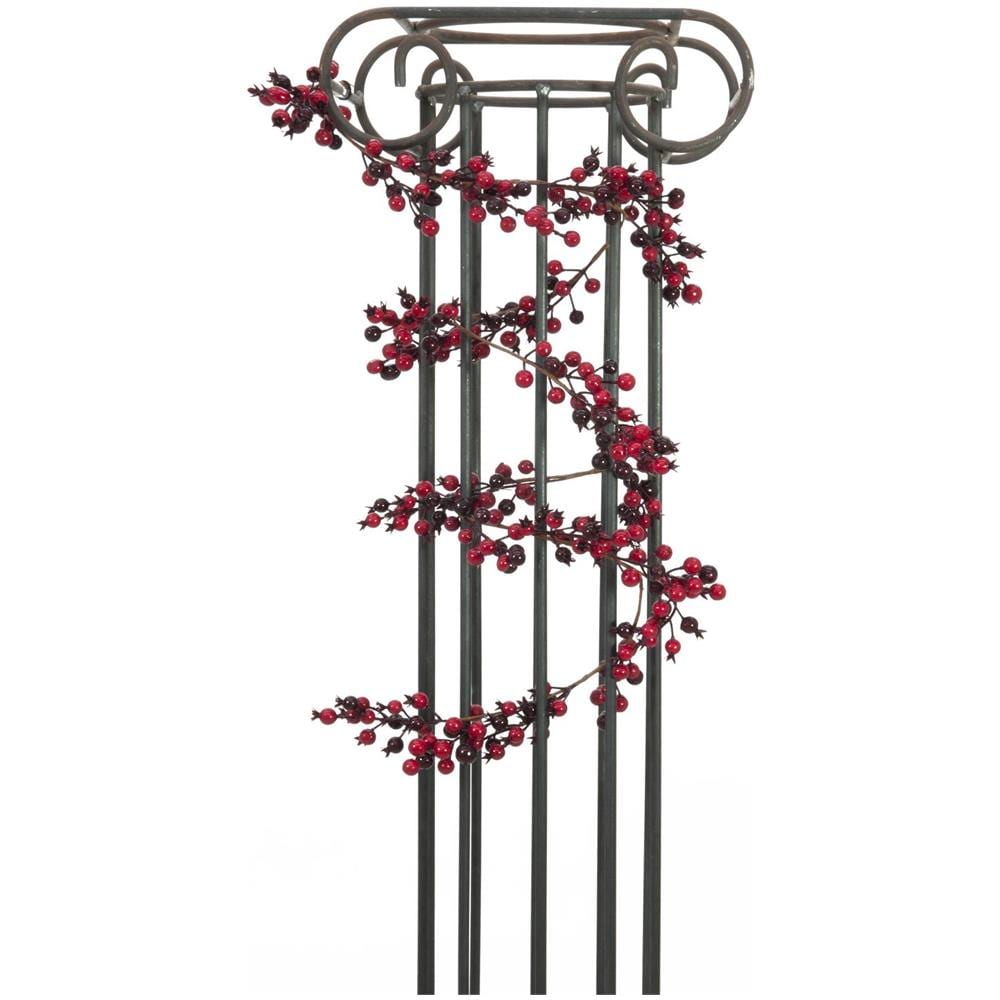 Ghirlanda Di Bacche Miste 180cm - Foto 1