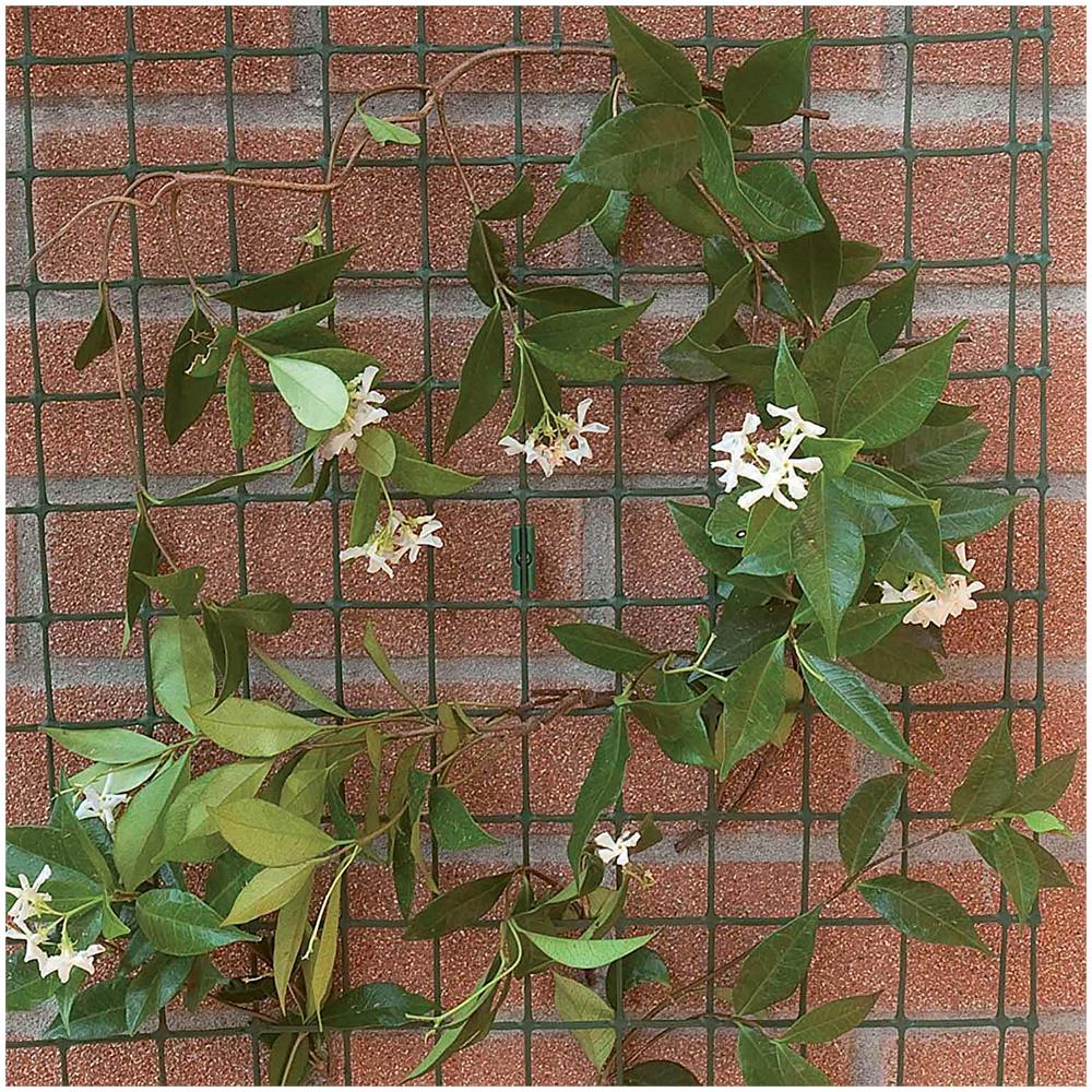 Corolla Rete Per Piante Rampicanti - Verde - 1,00x5 M - Foto 2
