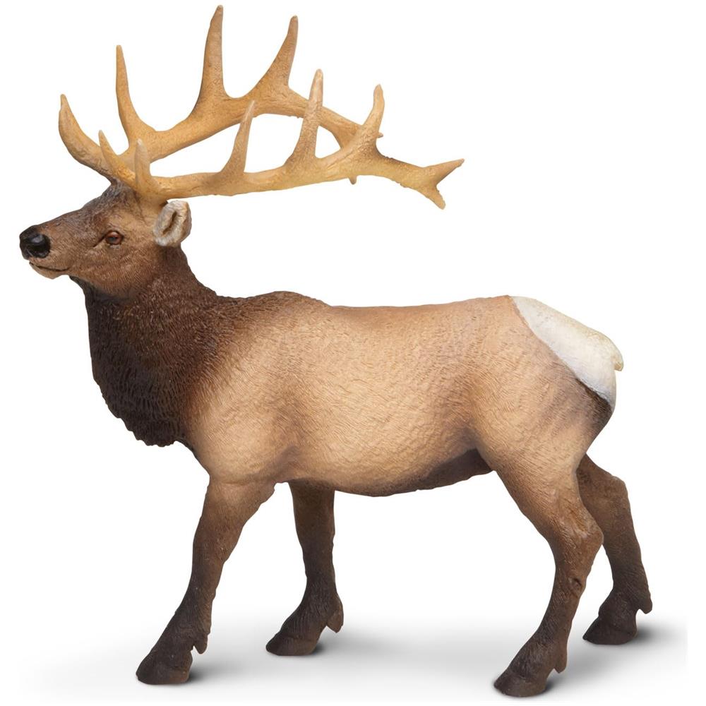Safari Ltd Statuetta Elk Bull - Modello Dettagliato In Plastica 475 - Divertente Giocattolo Educativo Per Ragazzi, Ragazze E Bambini Dai 3 Anni In Su - Foto 2