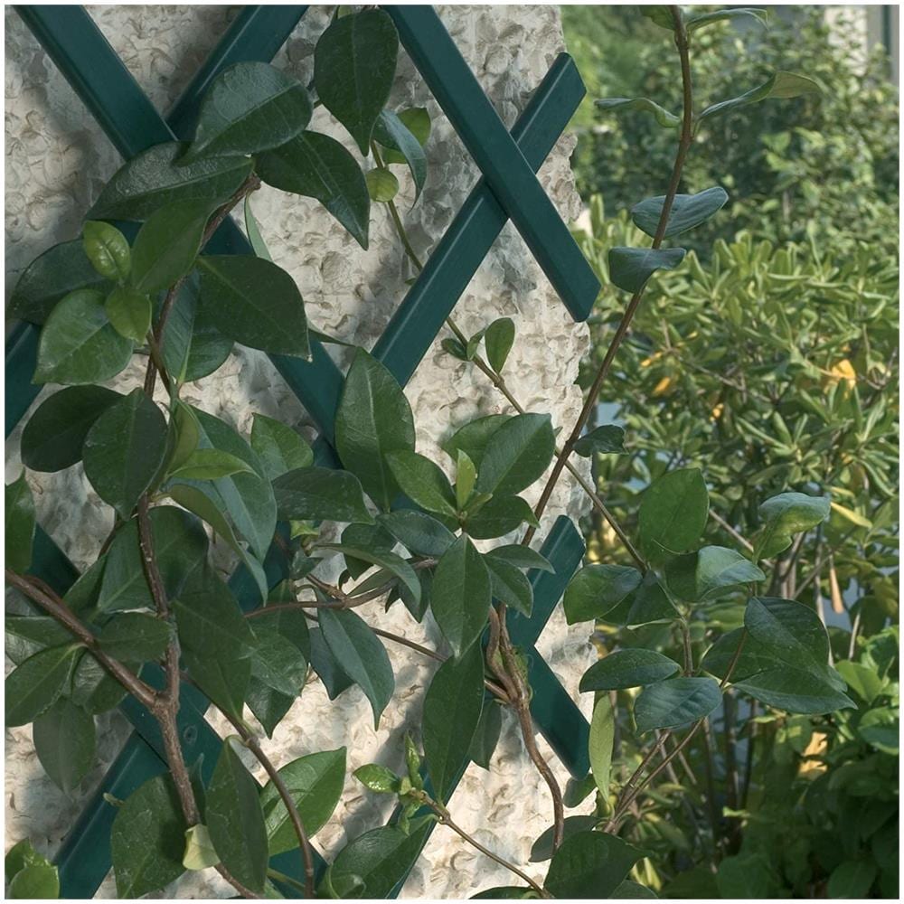 Treplas Traliccio Estensibile Decorativo - Verde - 1x3 M - Foto 3