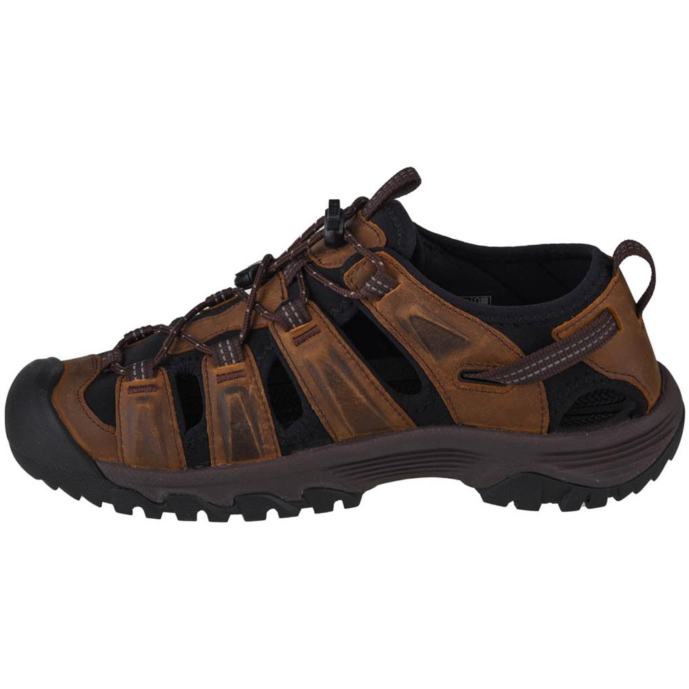 Targhee Iii Sandal, Uomo, Marrone, Sandali, Numero: 43 Eu - Foto 2