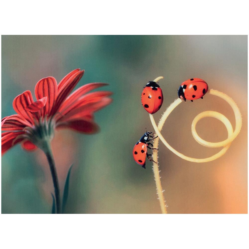 Tappeto Passatoia Cucina Antiscivolo Stampa Digitale Sprinty Varie Fantasie 52x400 Fortuna - Foto 2