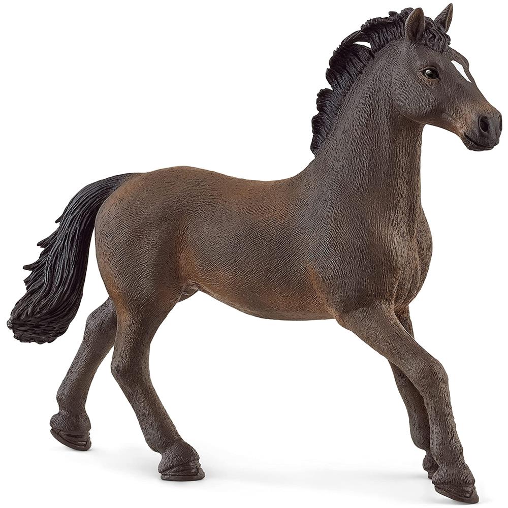 : Oldenburger Stallion - Foto 1