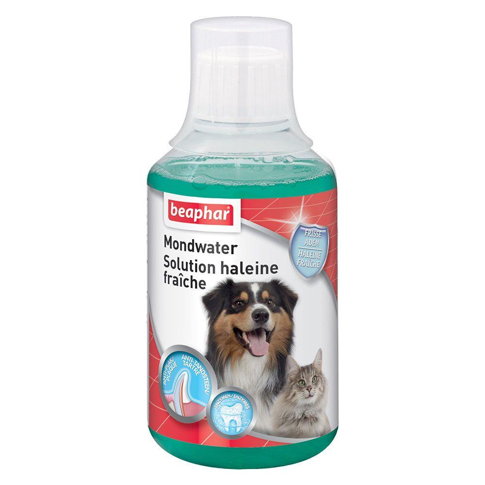 Soluzione Alito Fresco Per Cani E Gatti 151ml Beaphar - Foto 1